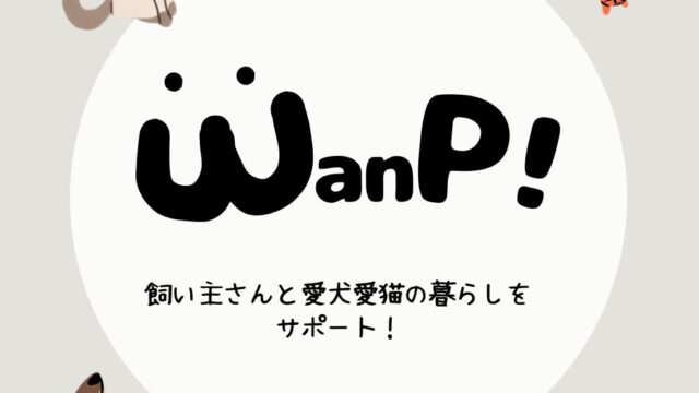 WanP！（わんぷ）へようこそ