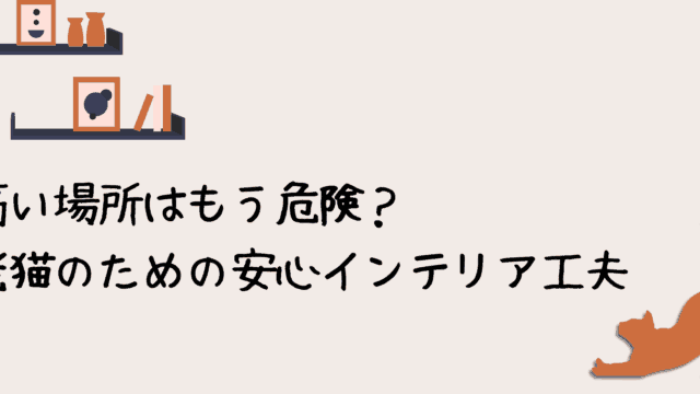高い場所はもう危険？シニア猫のための安心インテリア工夫🐱