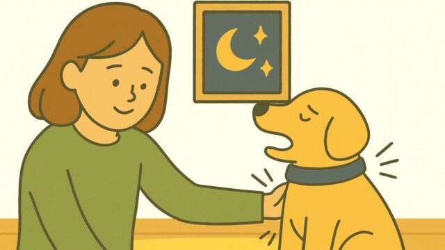 シニア犬の夜鳴き対策:安心できる環境づくり🐶